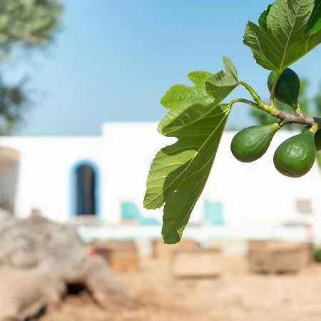 Masseria Cippone *